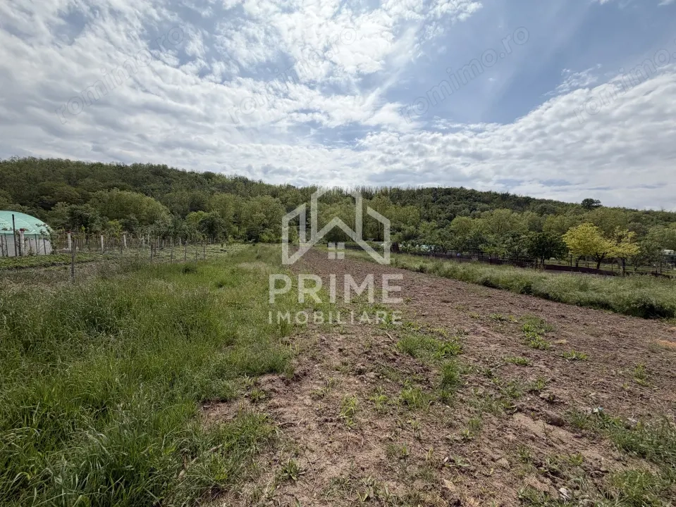 Teren Intravilan 3.514 mp | SAT CIUGUD | Oportunitate | TOATE UTILITATILE |