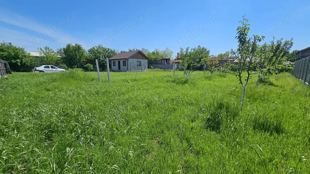 DUMBRAVA - 1219 mp Teren ideal casă – asfalt, utilități
