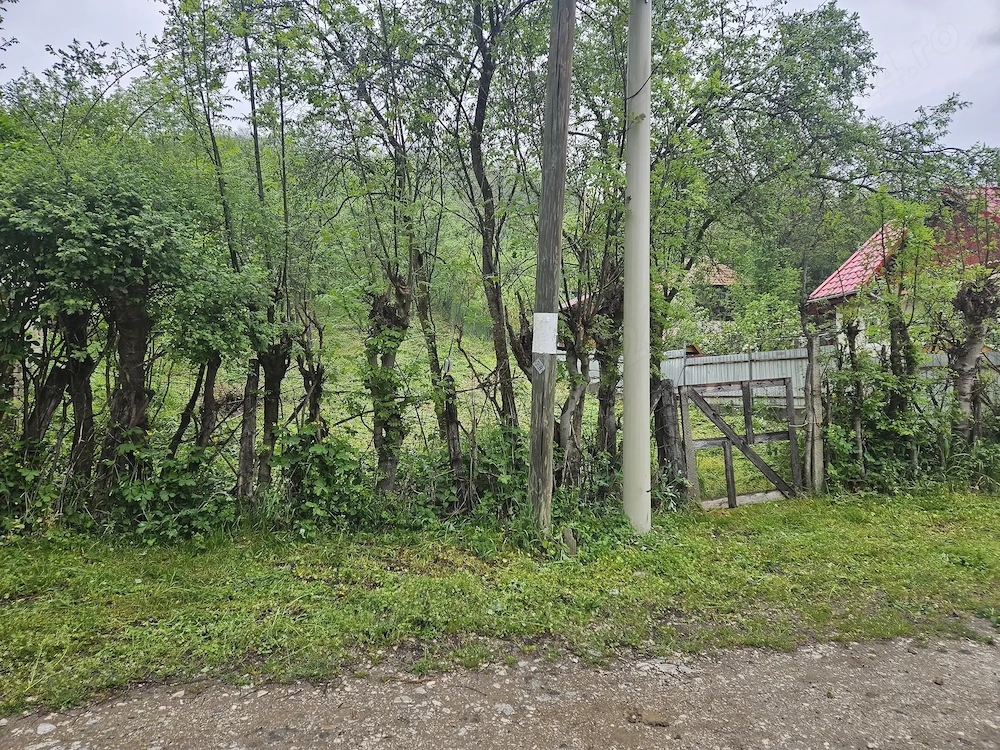 Teren intravilan de vânzare 