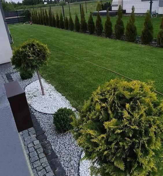 Amenajăm spati verzi 