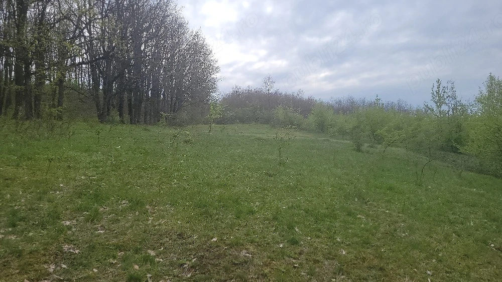 teren leamna si Bucovăț 