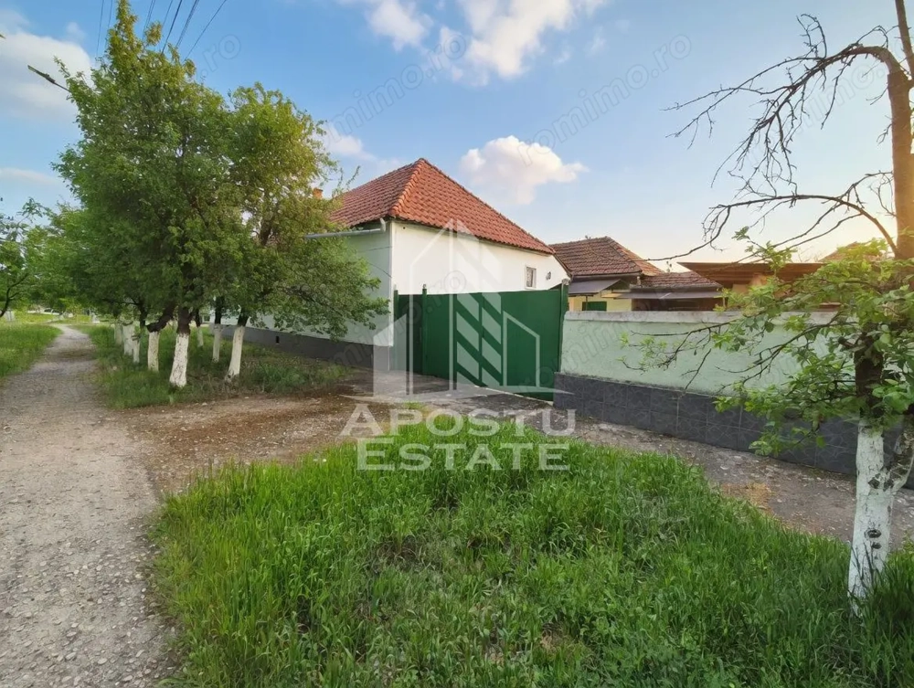 Casă renovată complet, cu garaj și anexe, în Satchinez, Timiș