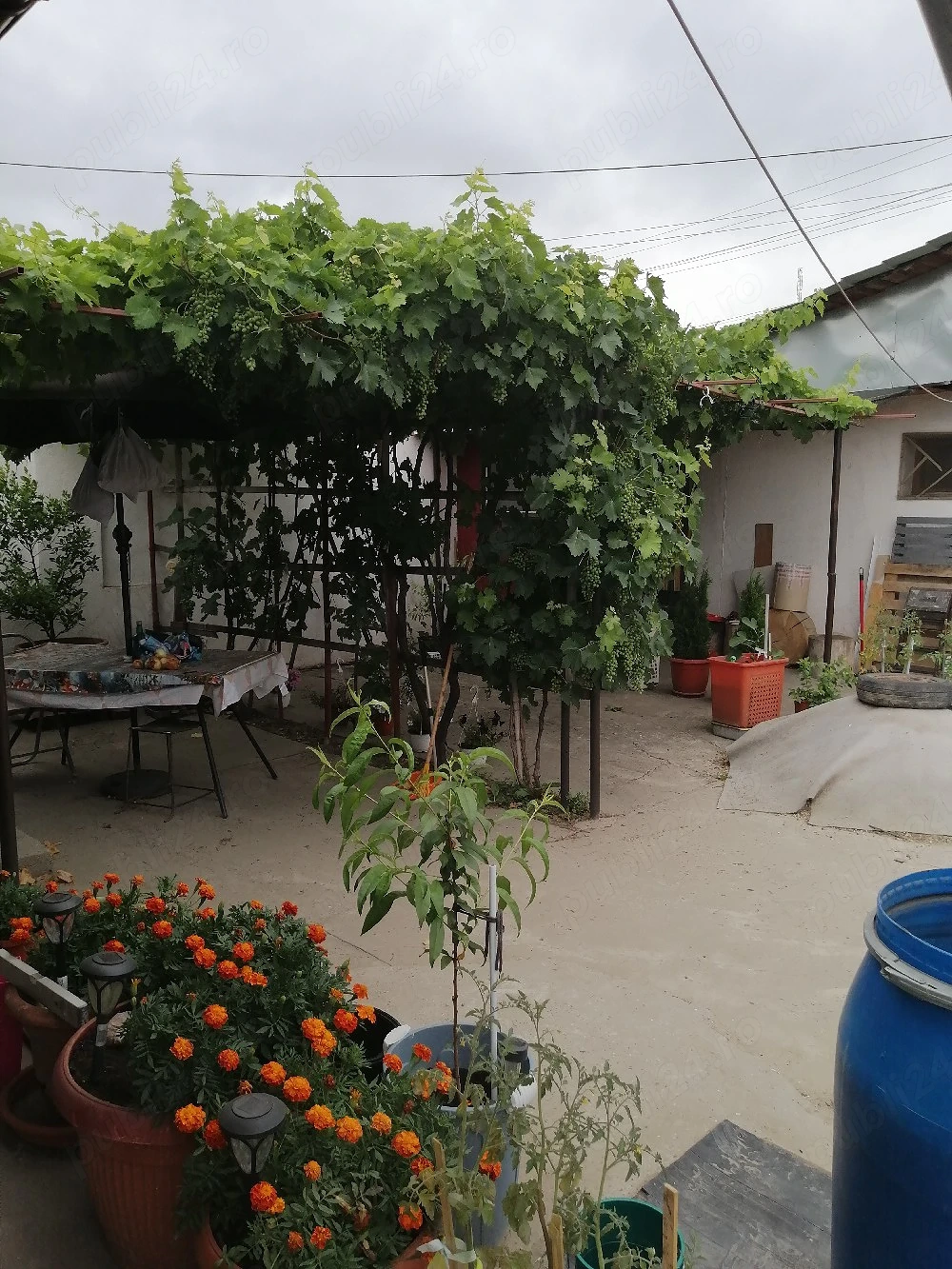 Casă de vînzare