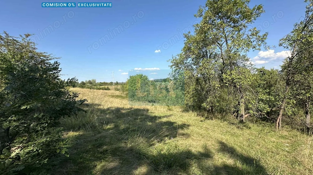 Vânzare teren Reșița: 17260 mp, Calea Caransebeșului
