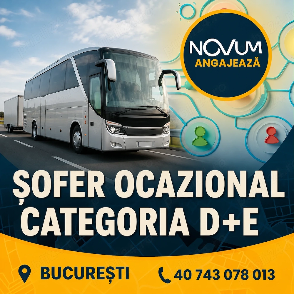 Sofer ocazional D+E Bucuresti-Timisoara