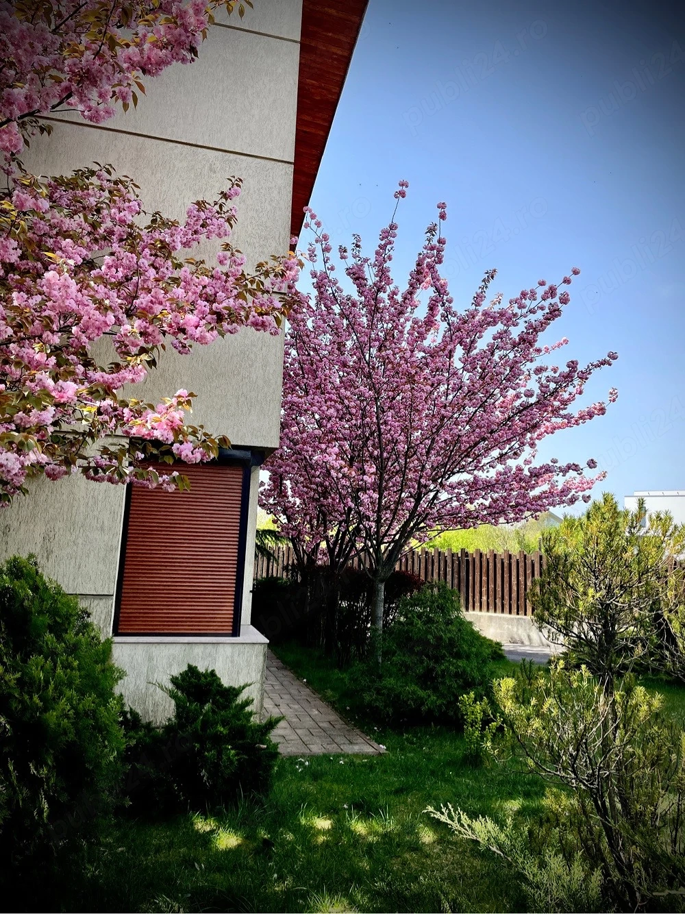 vanzare duplex sector 1