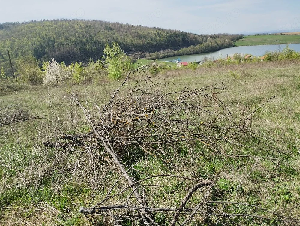 vând teren Moacșa, lac Pădureni
