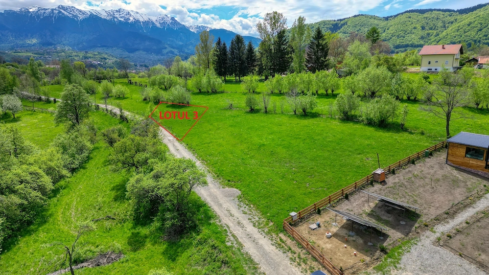 Teren intravilan zona Zarnesti-Tohanita,judetul Brasov la 12 km de Rasnov