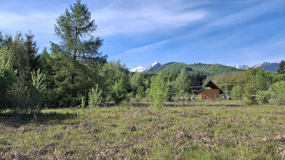 Teren intravilan Viștișoara Brașov