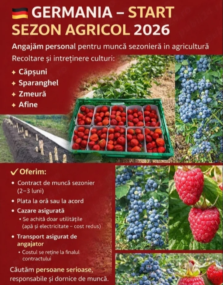 Este nevoie urgent de cupluri la  sparanghel 