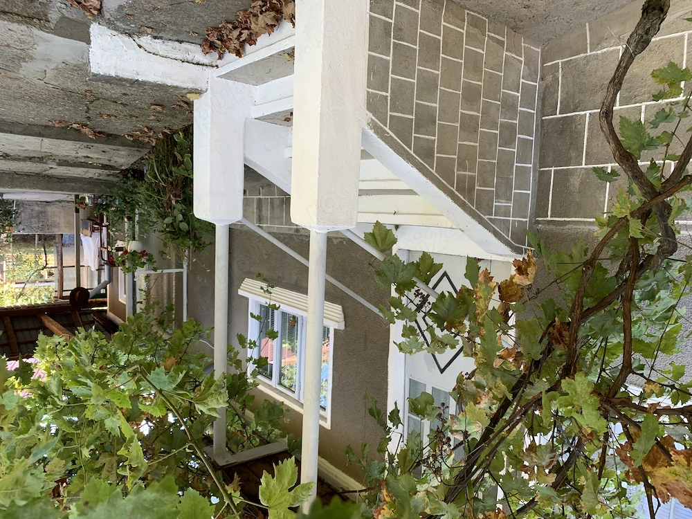 Vand casa la tara in Comuna Husnicioara
