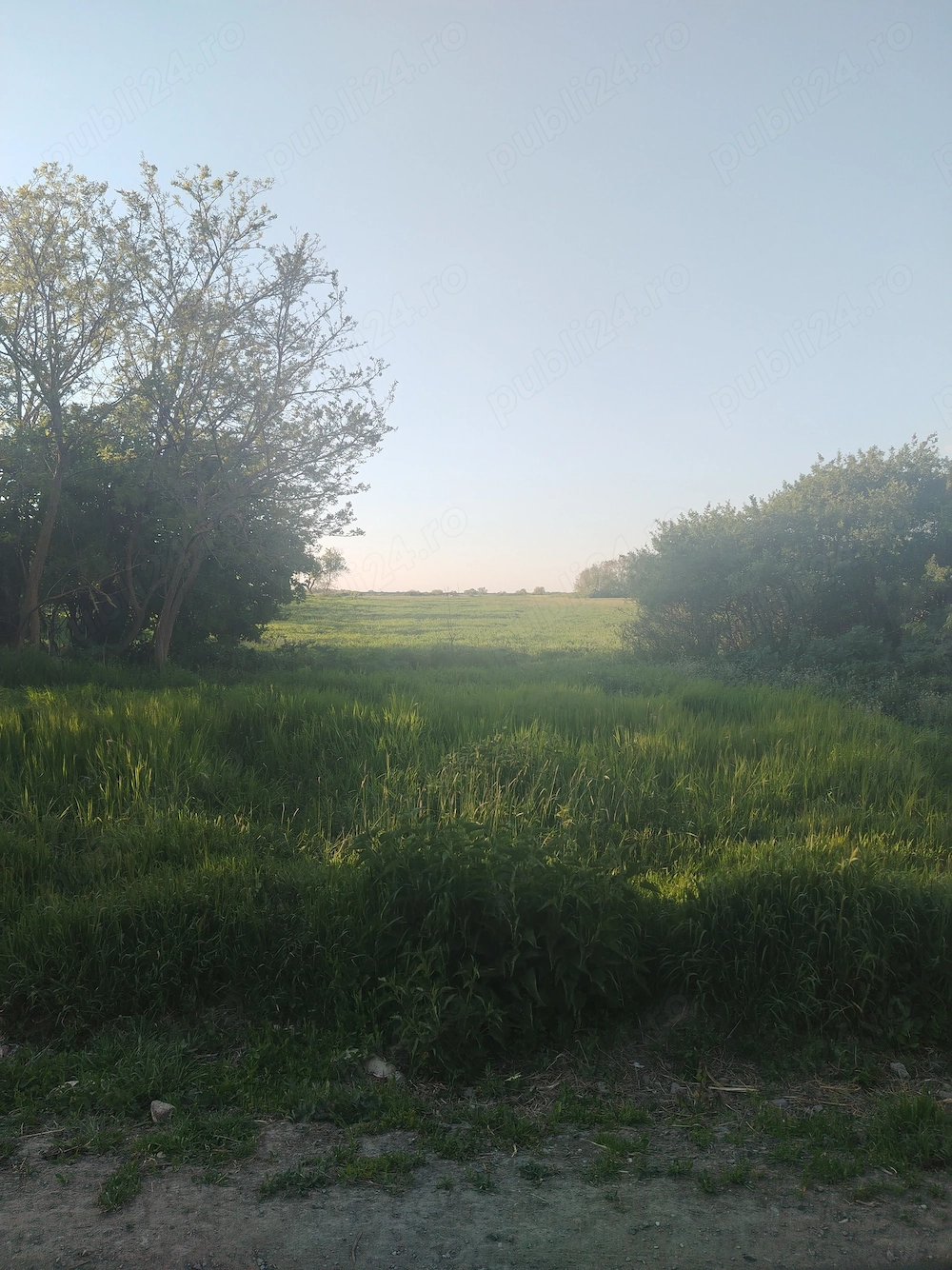 Teren intravilan de vânzare   4.290 m    zonă liniștită