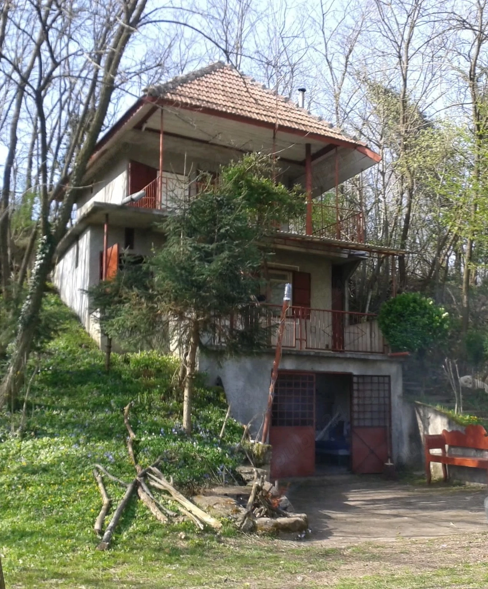 Casa de vacanta cu teren cu vita de vie
