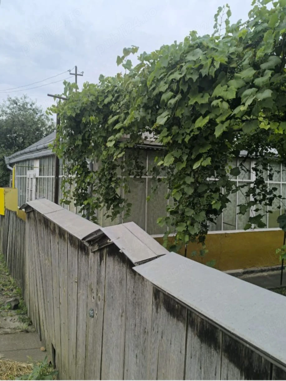 casă de vânzare 