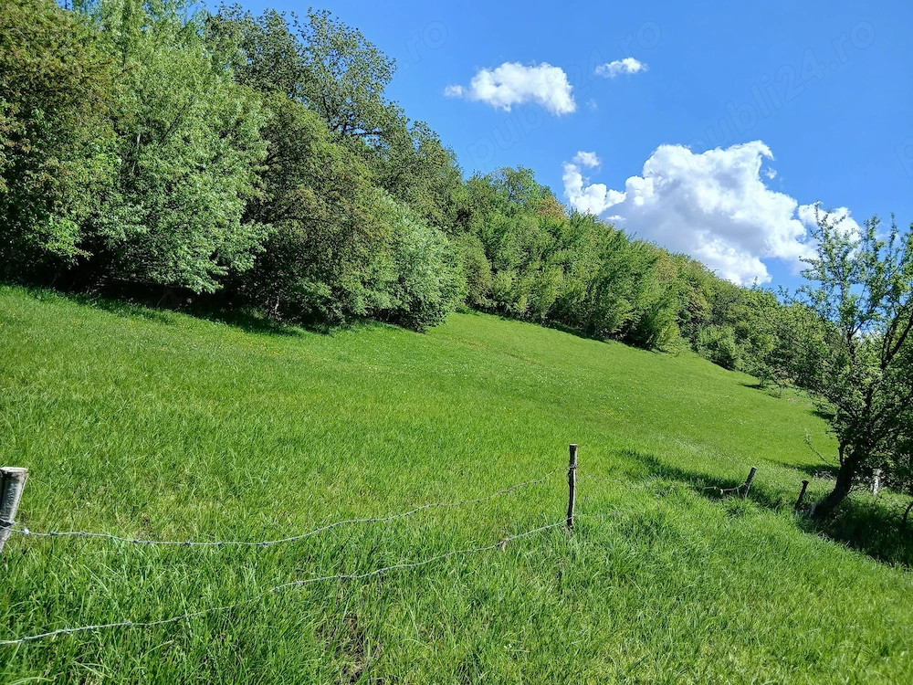 vand teren extravilan  suprafata 3852 