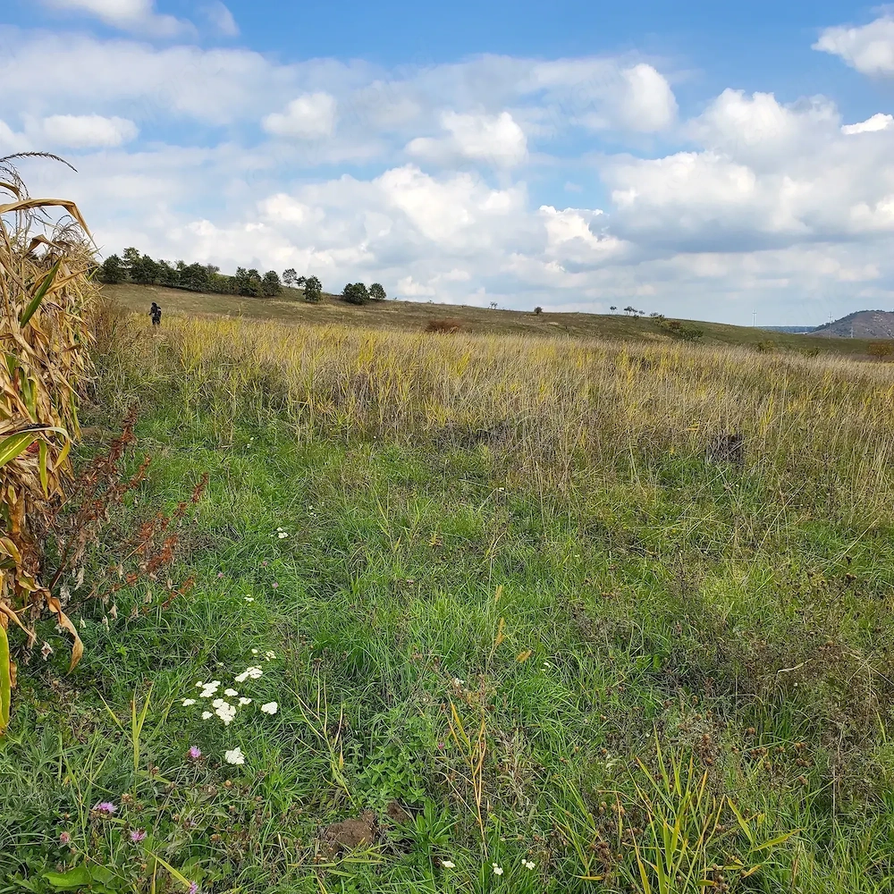 Vand teren intravilan in Deusu (com. Chinteni)