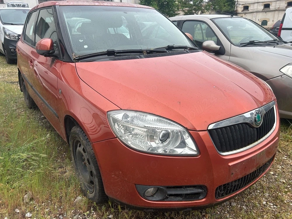 Dezmenbrez Skoda Fabia