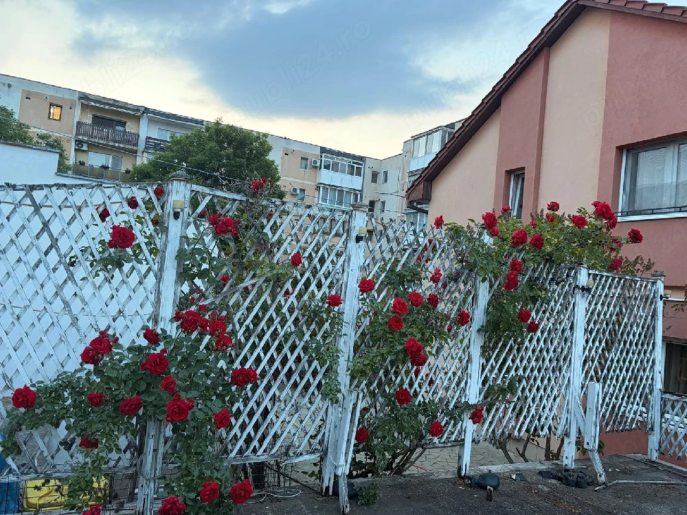 Caut persoană pentru îngrijire vârstnici 