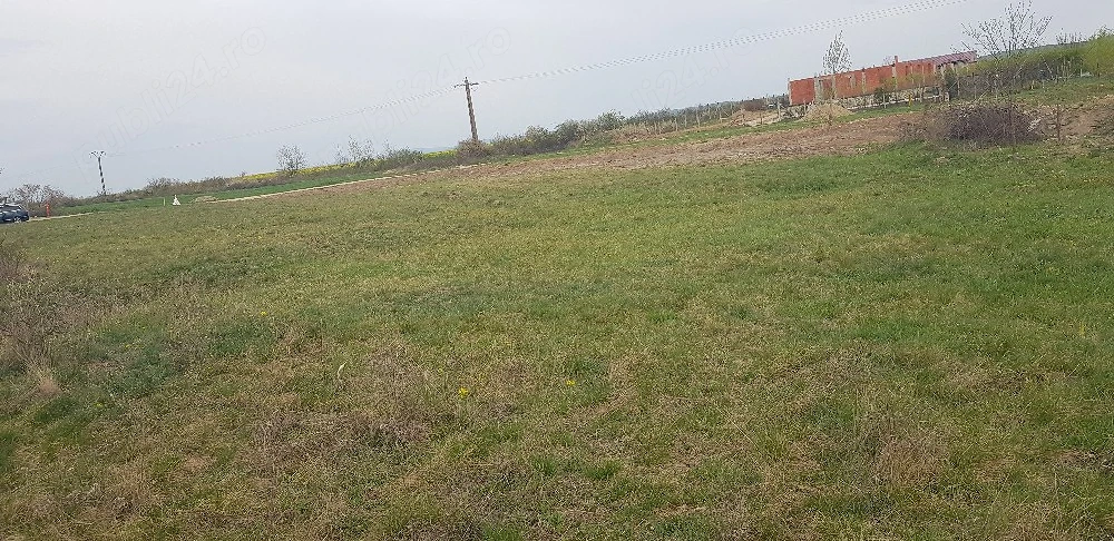Vand teren în Rontău județu Bihor  1.000mp