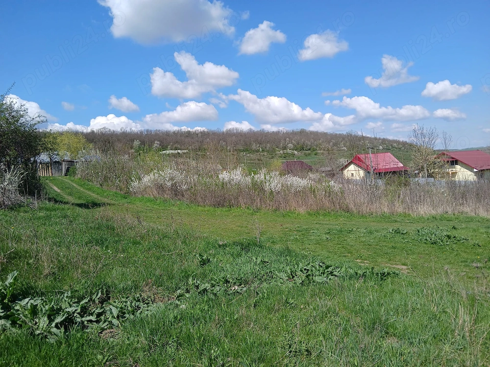 Teren intravilan (Dămienești)