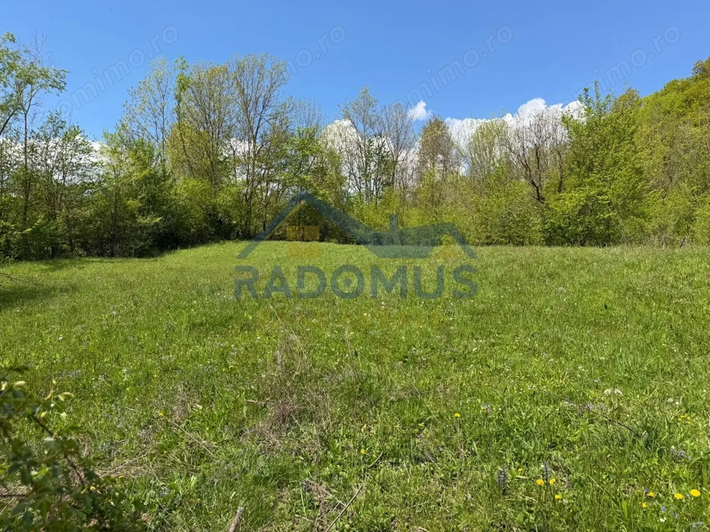 Teren Intravilan  – Provița de Jos | 1.939 mp | Curent electric
