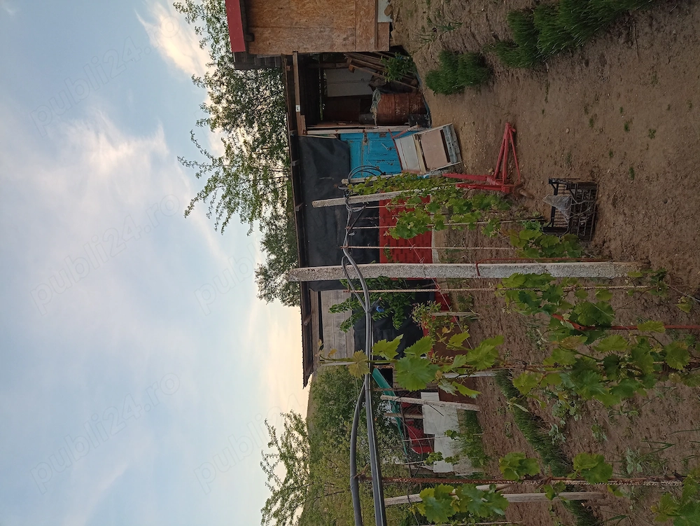 Casa de vanzare