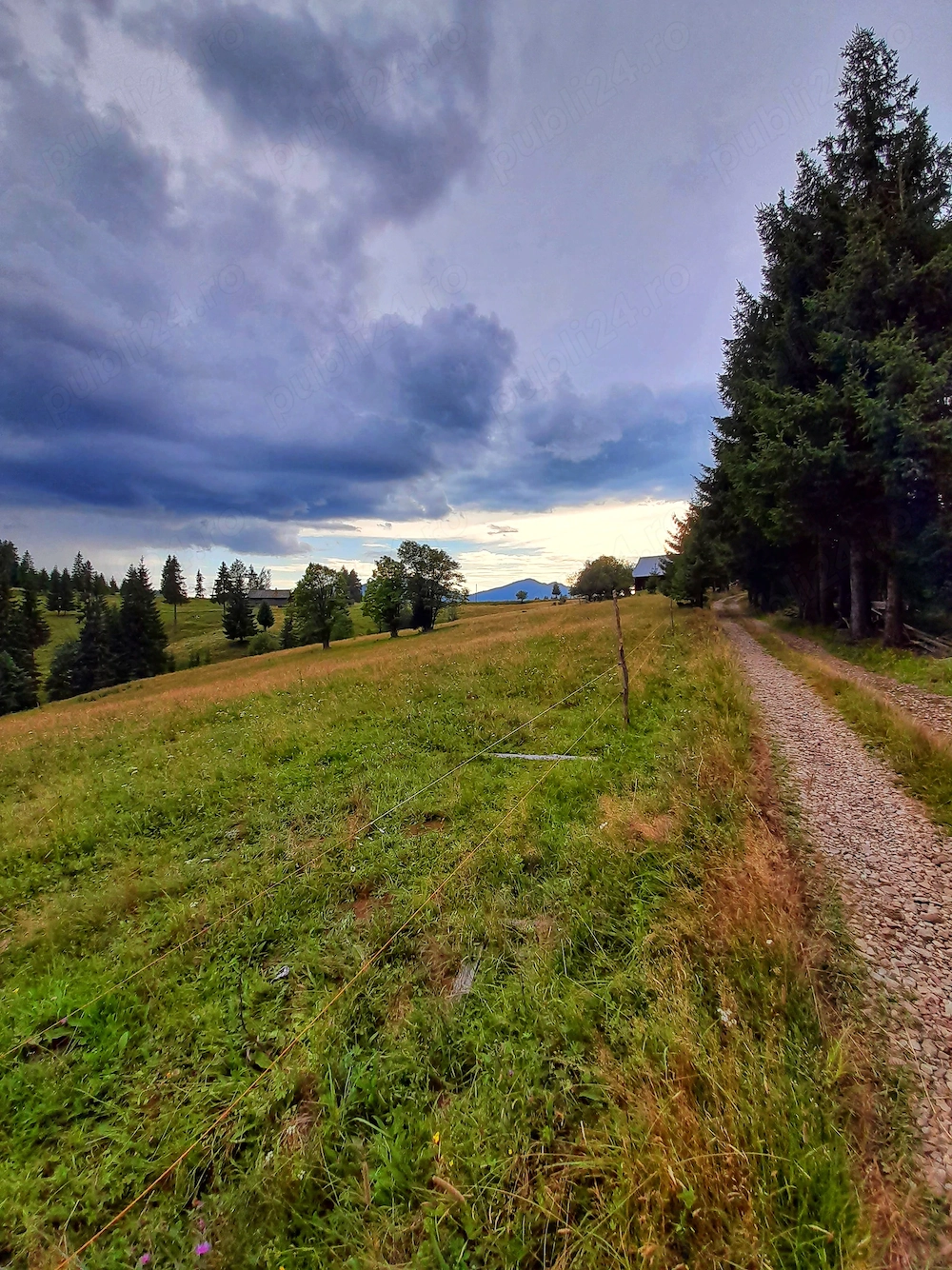 Teren intravilan, 25 arii, Piatra-Fantanele,1200 pe arie