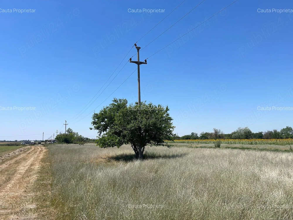 Lot intravilan de casa , la doar 20 minute de Bucuresti
