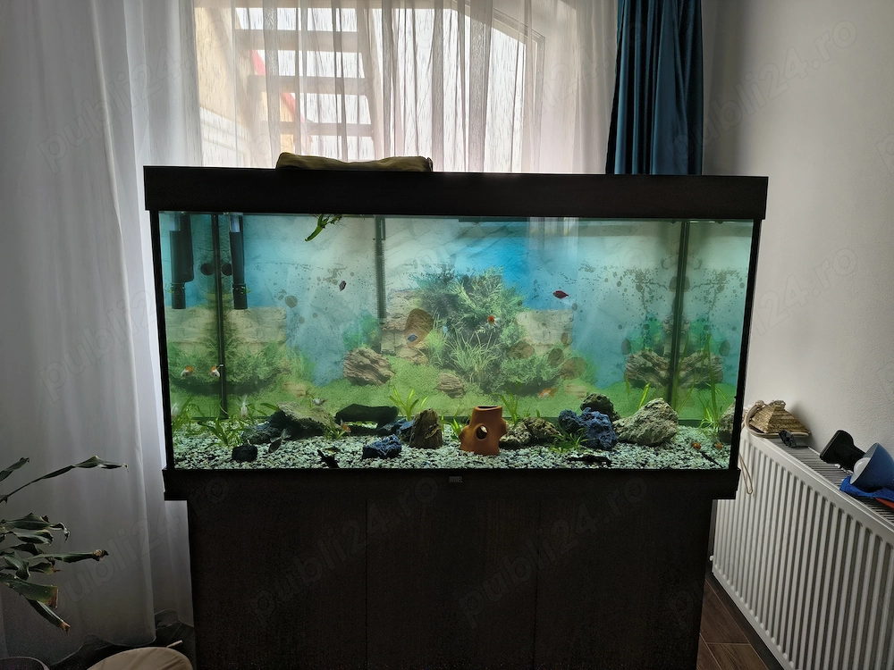 Acvariu 350l