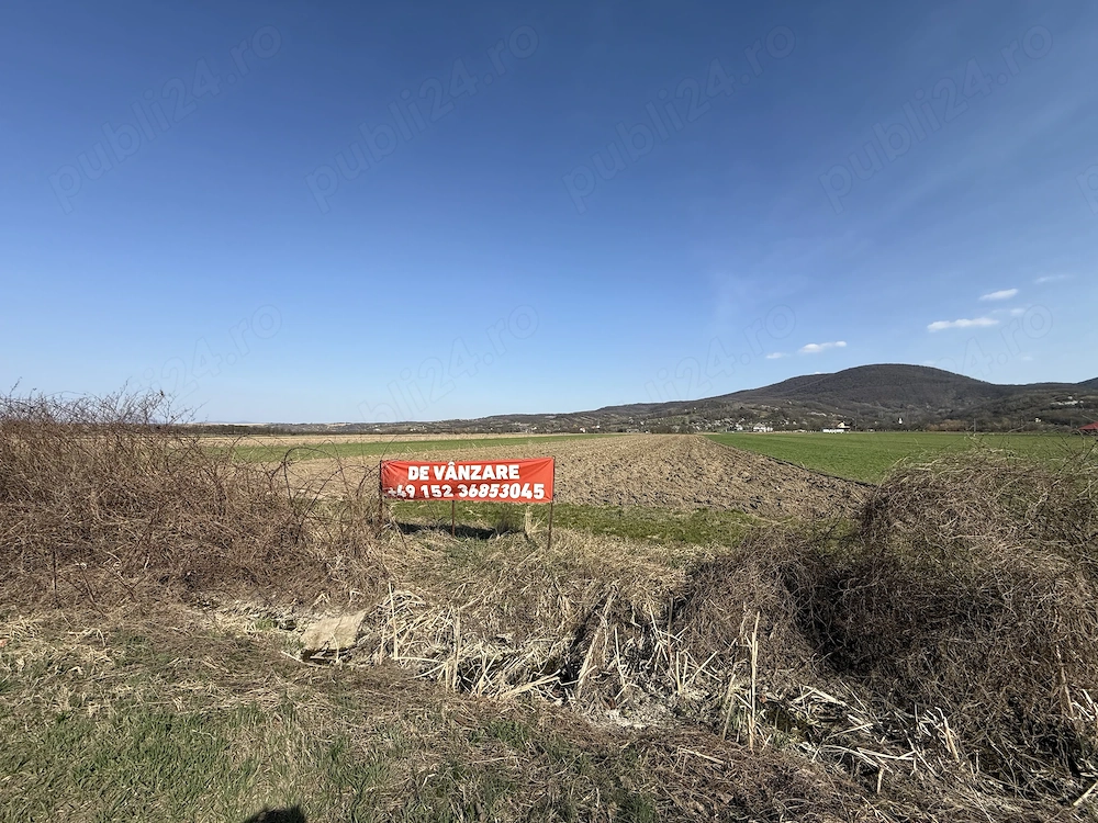 Teren de Vânzare Viile Apei