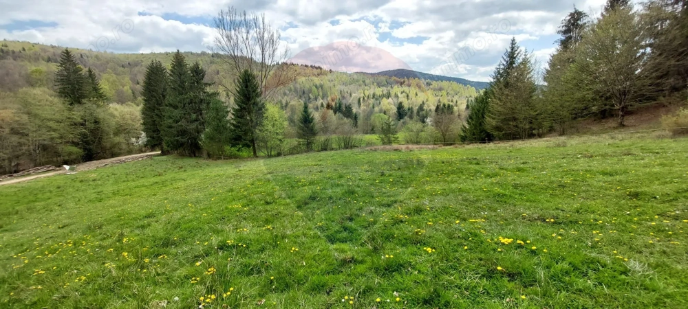 Poienita 2800mp, Covasna, zona hotel Clermont, inconjurat de padure