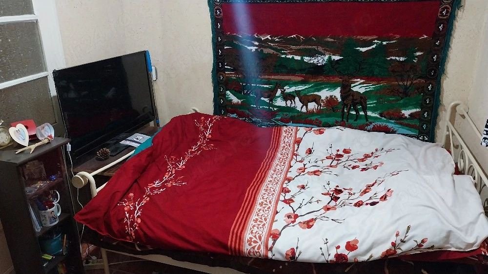 Casa de vanzare