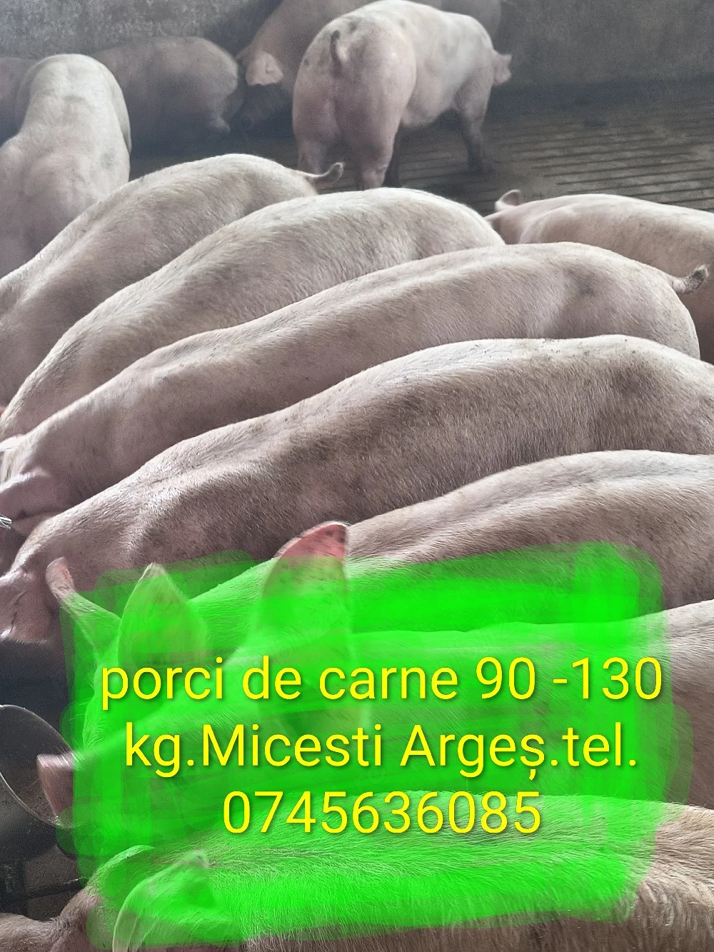  Super pret