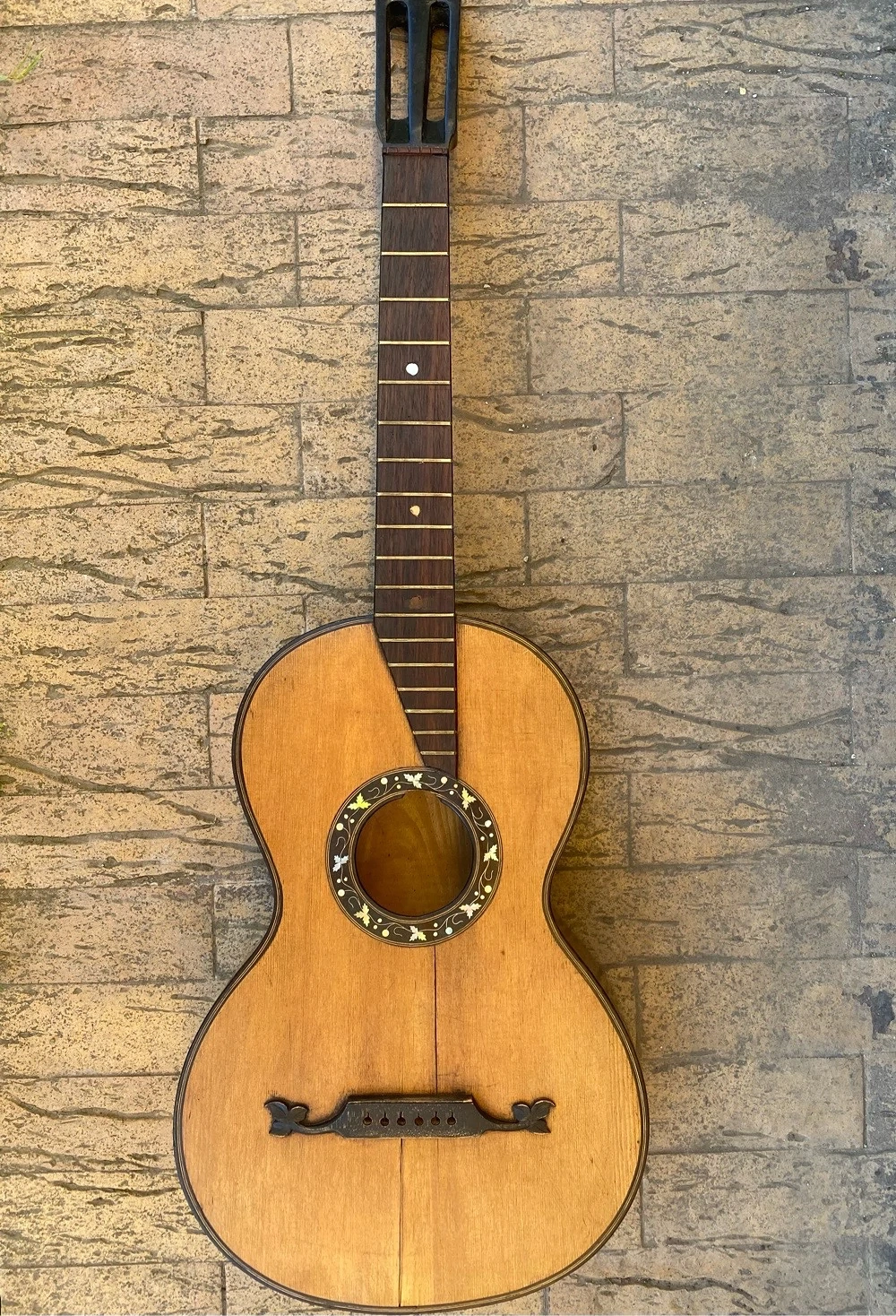 chitara parlor ( proiect )
