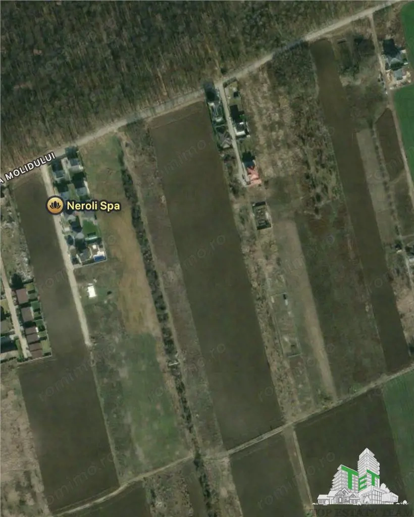Teren de vanzare langa padure| Tamasi, Corbeanca | 1170mp