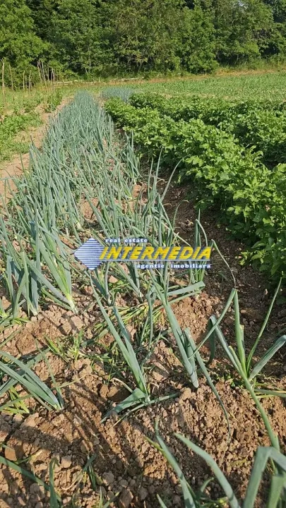 Teren intravilan 1000 mp in Ampoita cu apa si curent in fata 