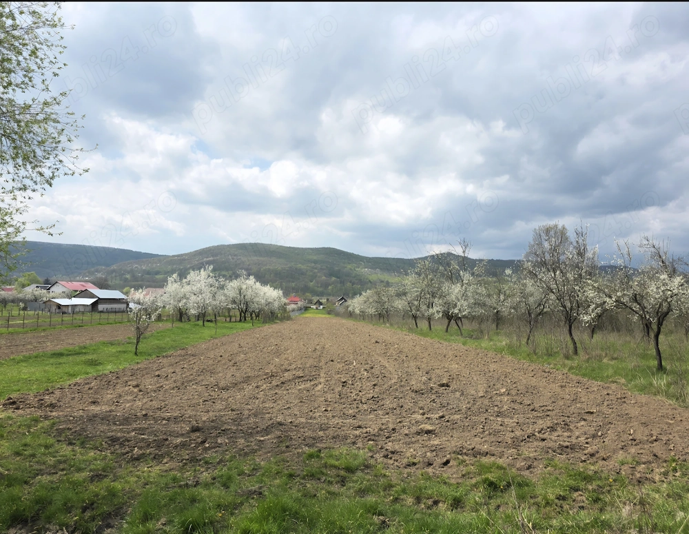 Teren de vanzare - Rădești 