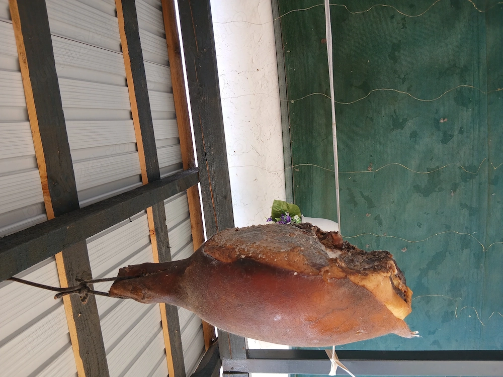 Sonc de casa 
