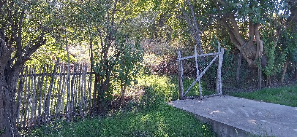 Teren Dunăre MH