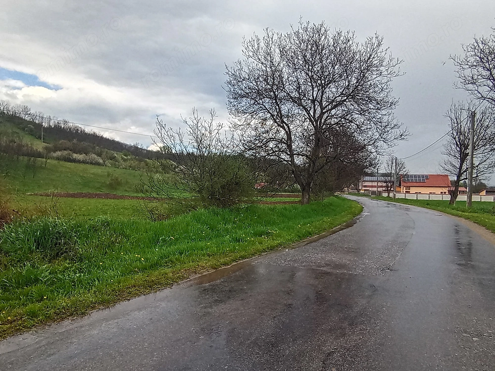 AV690 Teren intravilan, 5272mp, General Berthelot, la asfalt