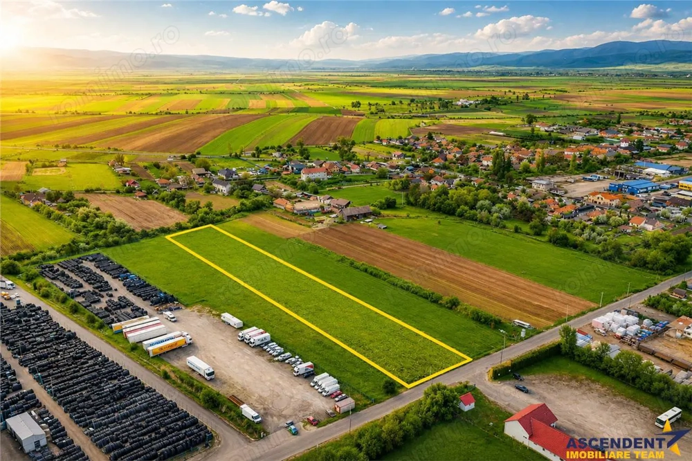 FILM! 5.000 mp teren, la marginea orasului Targu Secuiesc, aria industriala