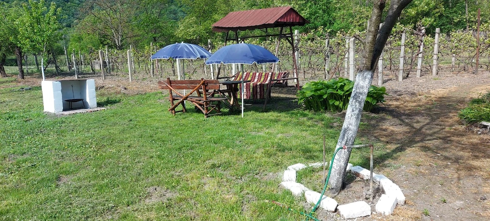 Vând casă și grădină 