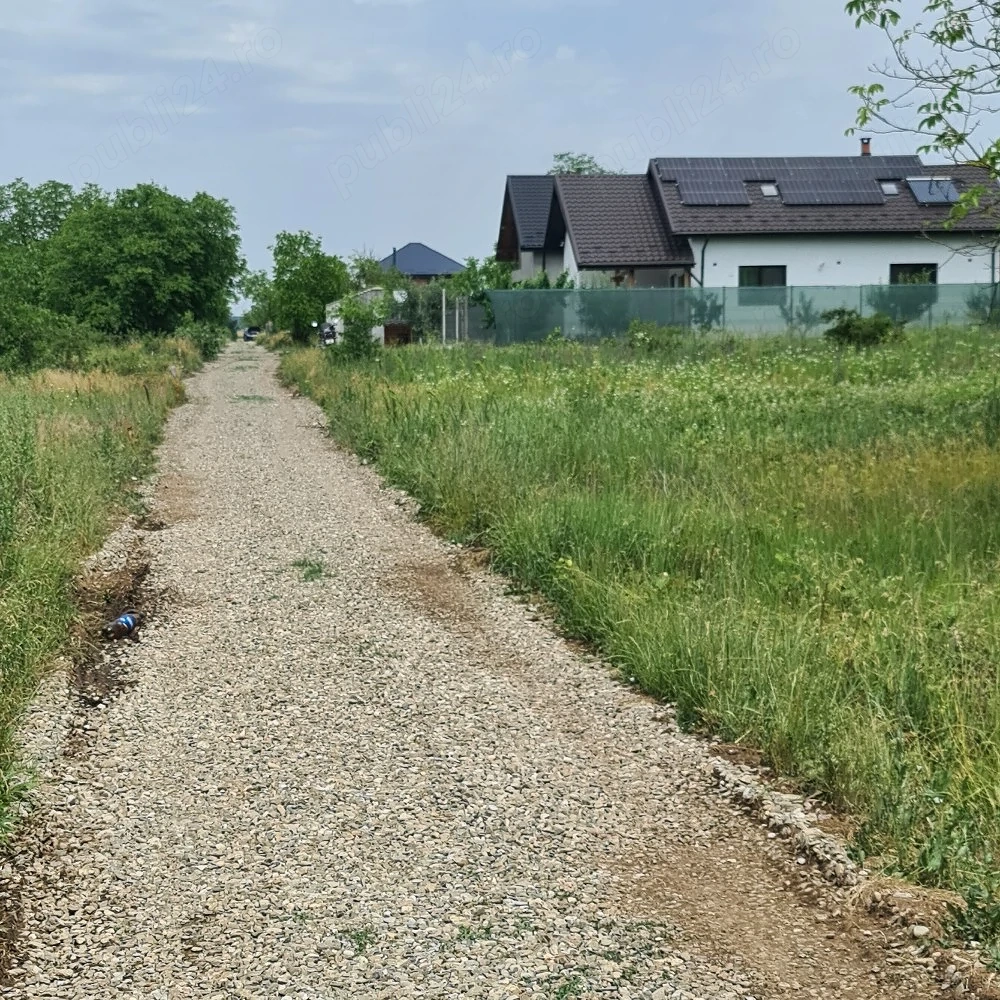 Teren de Vanzare Dascălu