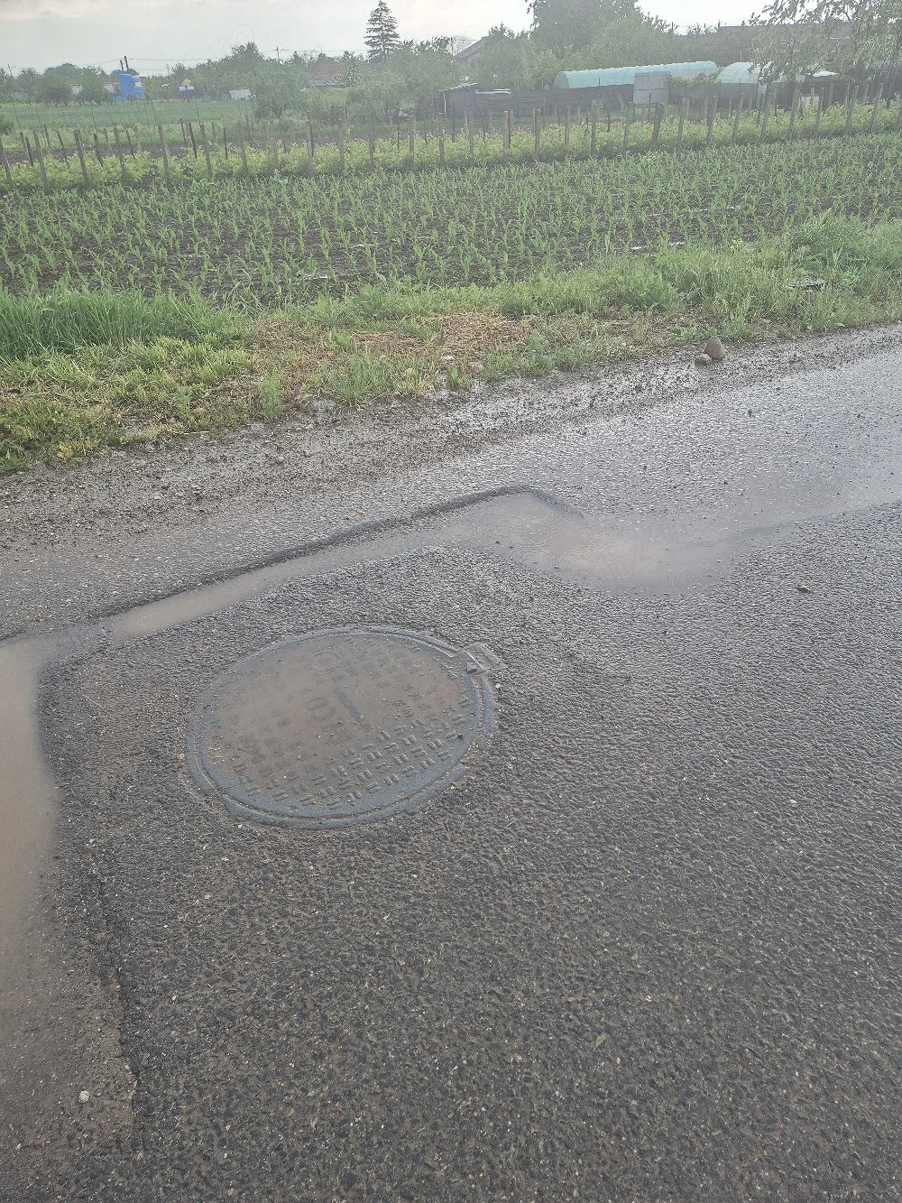 Teren intravilan pentru casa Moara Vlasiei