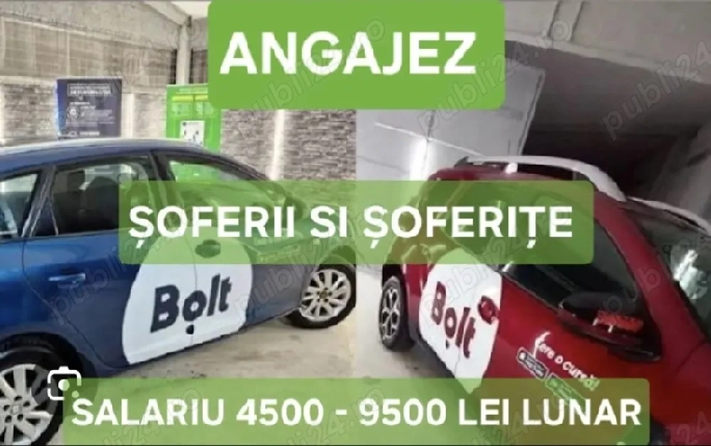 Angajez Soferii Si SoferitE UbeeR BoolD