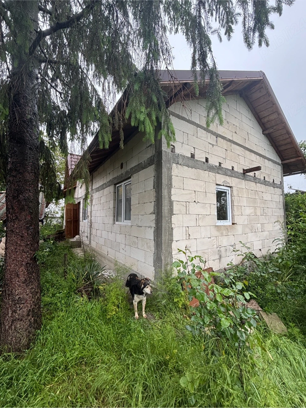 Casa 3 camere 100mp si curte de 2200mp