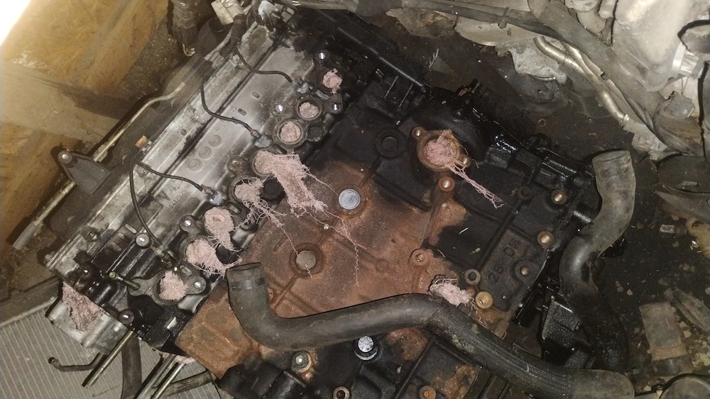 motor citroen, peugeot, ford 2.0 diesel