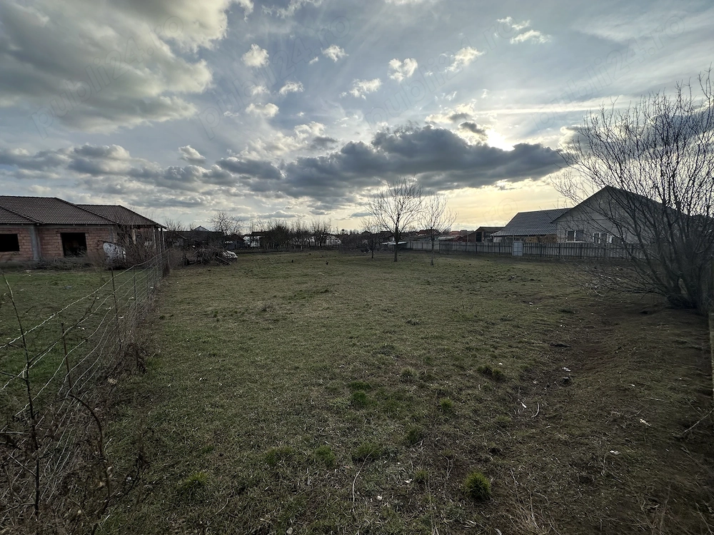 Teren intravilan 720mp in orasul Curtici 