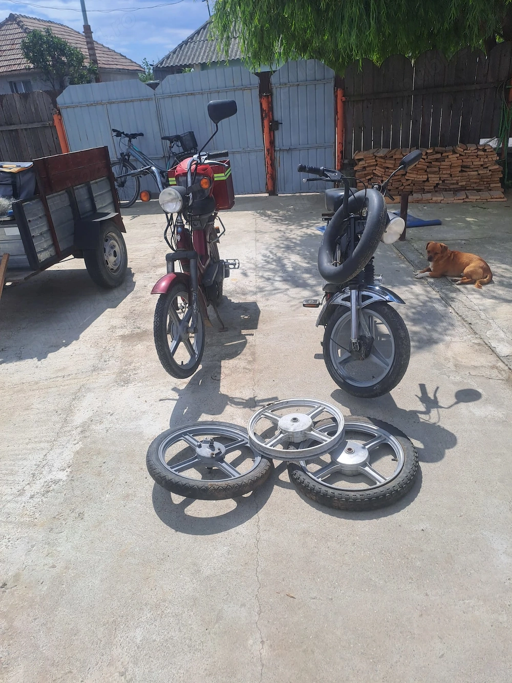 Piaggio si  grillo