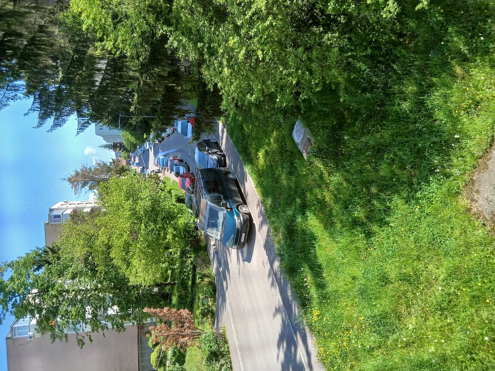 Garzoniera sf gheorghe !
